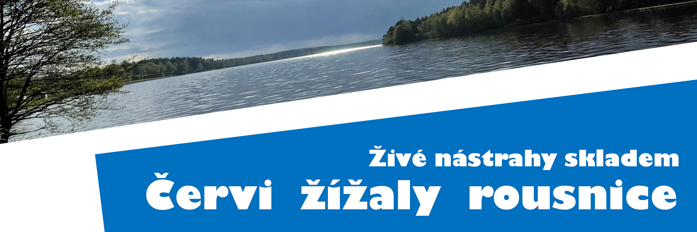živá nástraha